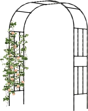 Caroeas Strong Metal Garden Arch, 20mm Twisted Galvanized Steel Tube