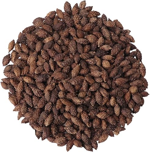 Miniatura 5 de Hierbas secas secas naturales orgánicas a granel (Xanthium Strumarium) - 10.58 onzas (10.58 oz)