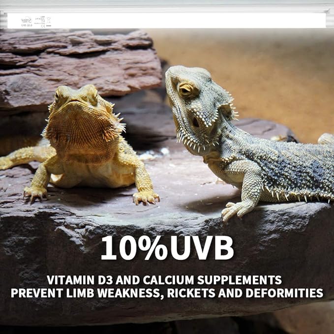 t8 uvb bearded dragon