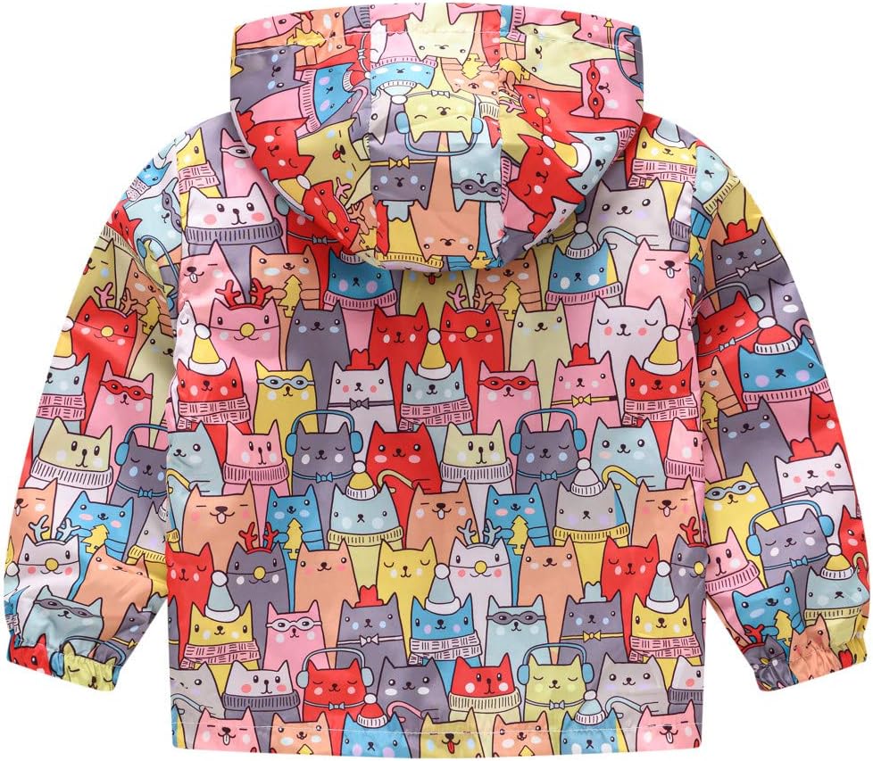 Baby Outerwear Jackets Grils Coat Zipper Print Toddler Kids Baby Hooded Boys Windproof Autumn (Multicolor E, 2-3 Years)