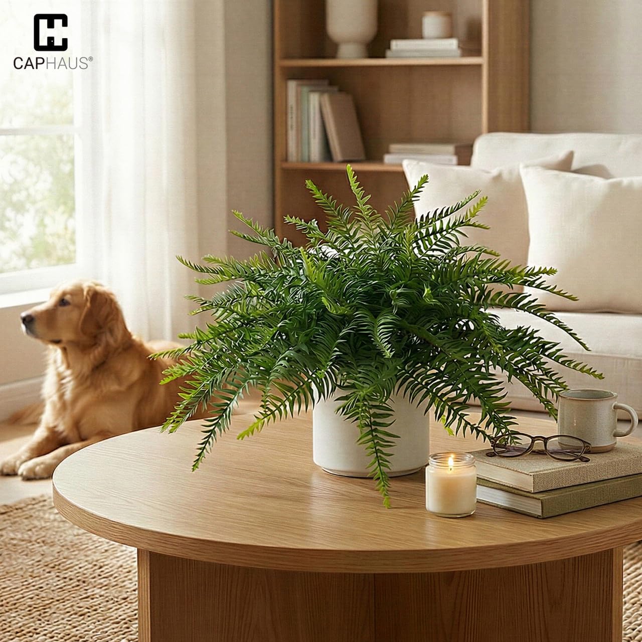 CAPHAUS Artificial Boston Fern Topiary Set of 2 with White Pots – 21" Realistic Fern Potted Plants | UV Resistant Faux Boston Ferns for Indoor Outdoor Porch, Front Door, Home Office Decor