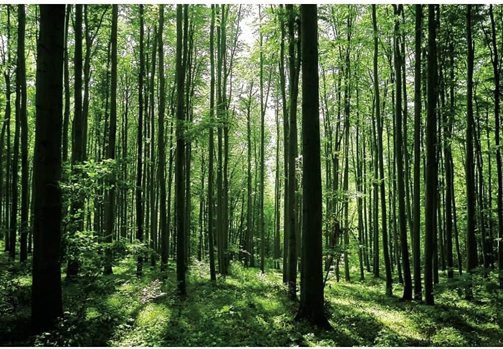 ドラゴンフェニックスエイトフィギュア2オンス銀貨 パースミント