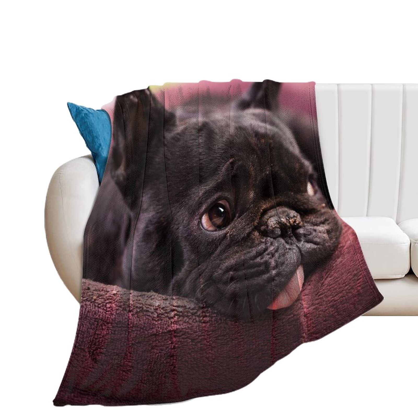 Couverture Polaire Bulldog Noir 130x150cm pour Canapé et Lit