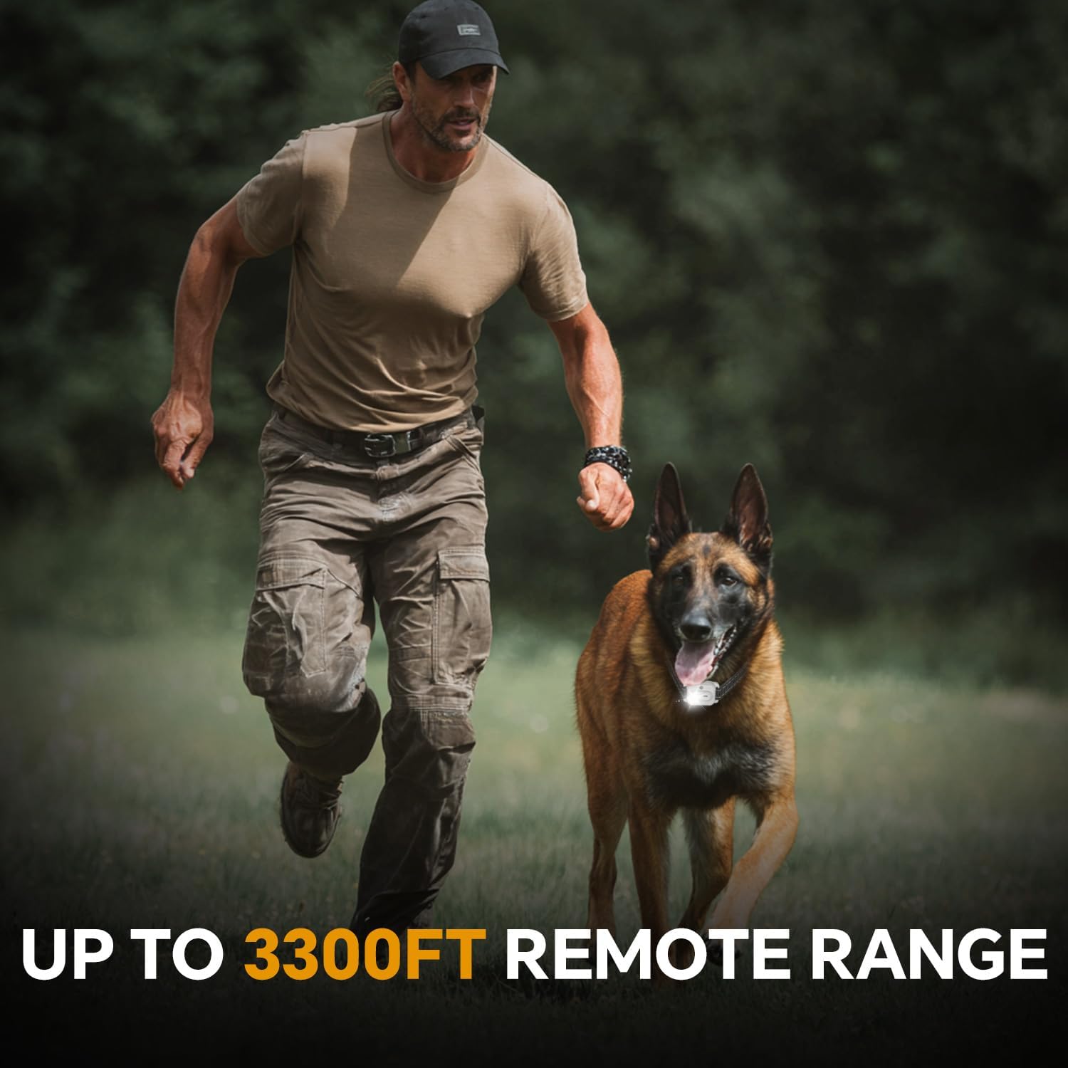 Ultimate Control: Review of the 3300 FT Dog Shock Collar for Effective Training