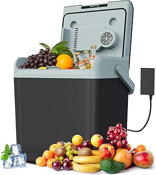 25QT Portable Electric Cooler & Warmer with Handle Dual Heating & Cooling Mini Thermoelectric Car Fridge for Vehicles, Truck, Travel, Camping, Picnics and Home, Black