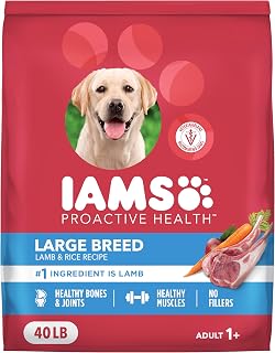 IAMS Proactive Health Large Breed Adult Dry Dog Food Lamb & Rice Recipe, 40 lb. Bag