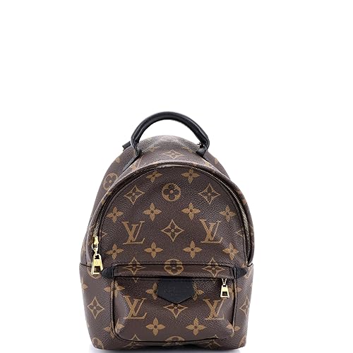 Pre-Loved Palm Springs Backpack Monogram Canvas Mini, Brown