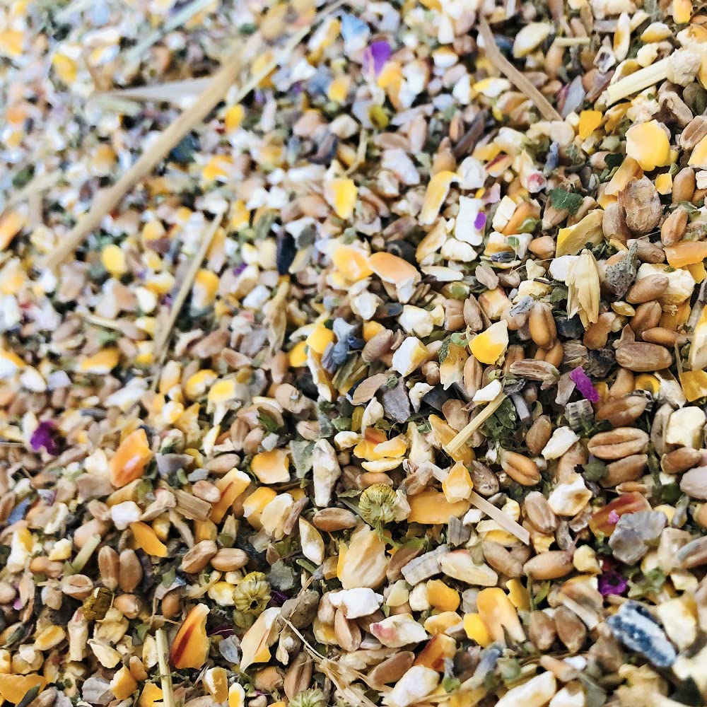 My Little Farm Lebensfreude - Cibo per polli biologico, 2 kg, mix di cereali integrali con erbe preziose per una cura ottimale e un mantenimento sano di galline ovaiole e altri pollame