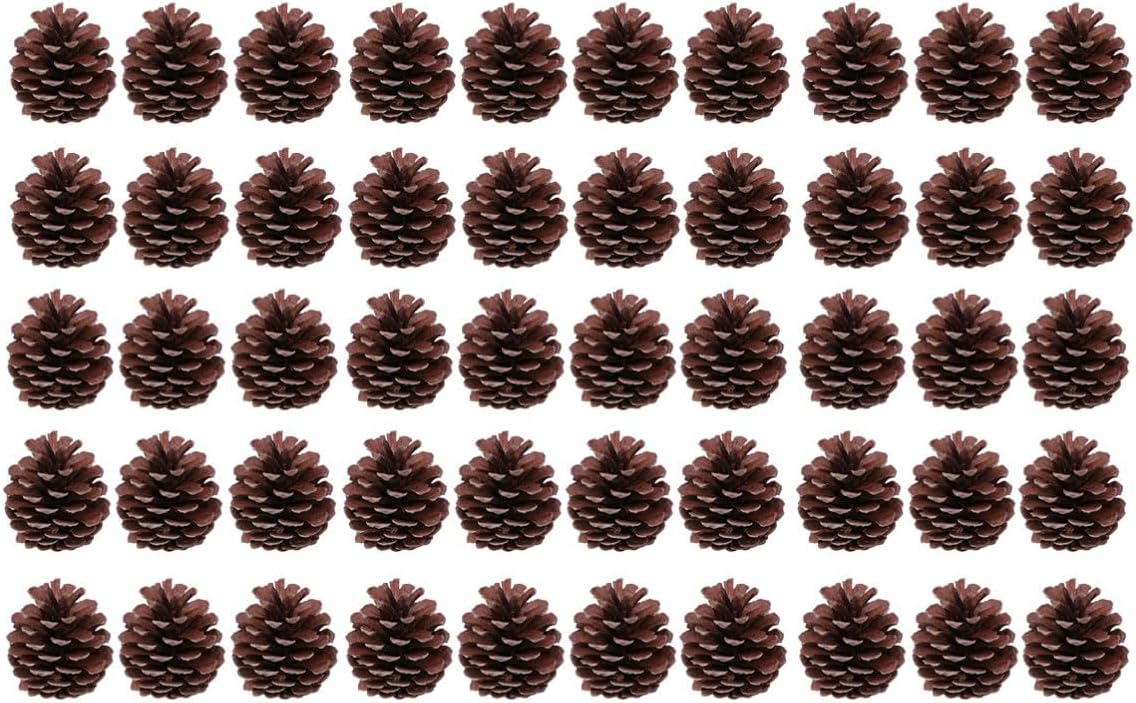 VOSAREA 50pcs Natural Pine Cones 6-8cm for Christmas Decorations, Repeated Use Pine Cones Ornaments, for Wedding and Upscale Restaurant Decoration in Winter