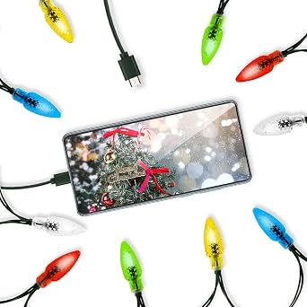 2 Pack Christmas Lights Phone Charging Cable, Type-C to Type-C 50 Inch 10 LED Multicolor Light Compatible for Phone 16/16Pro Max/16Pro/Phone 15/15Pro Max,Samsung Galaxy S24 Ultra/S23/Z Flip 6