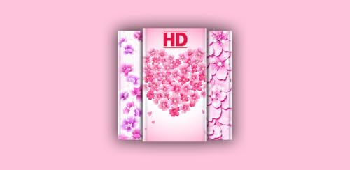 Cherry Blossom Wallpapers