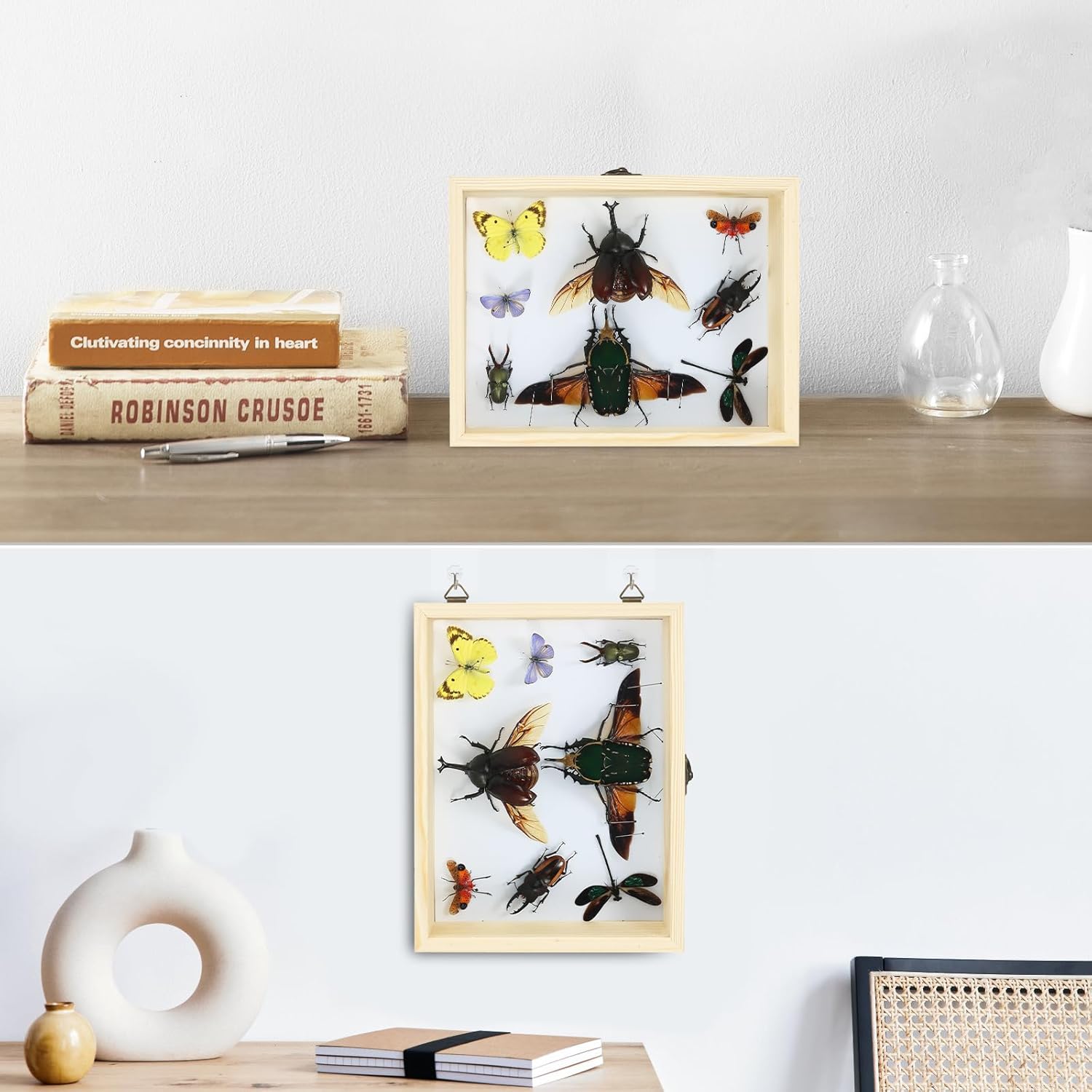 Making Insect Specimen Tools Kit - Insect Pins, Shadow Box, Pinning Board, Wings Pressing Paper, Tweezers, Scissors - Collection Display for Bug Hobbyists/Biology Projects