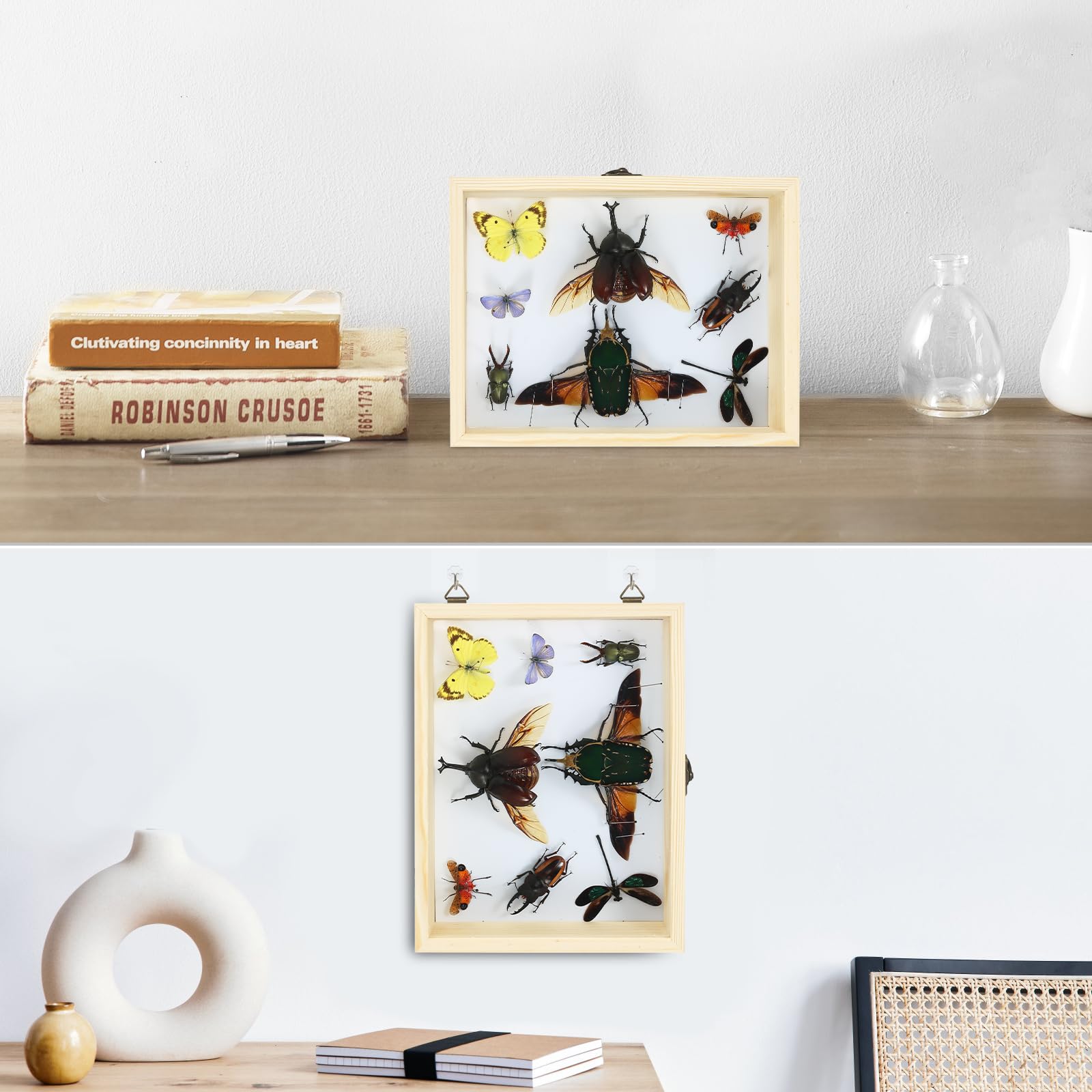 Herstellung von Insektenproben Werkzeug-Set, (Insektennadeln, Insektenschattenbox, Insekten-Pinnbrett, Flügelpresspapier, Pinzette, Schere), Insektenproben-Sammeldisplay für Käfer,
