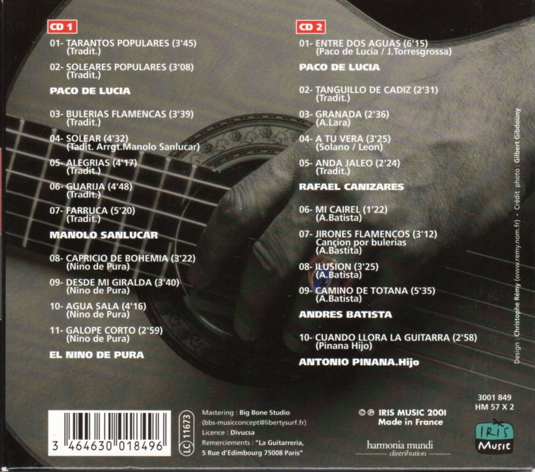 Guitar Flamenca