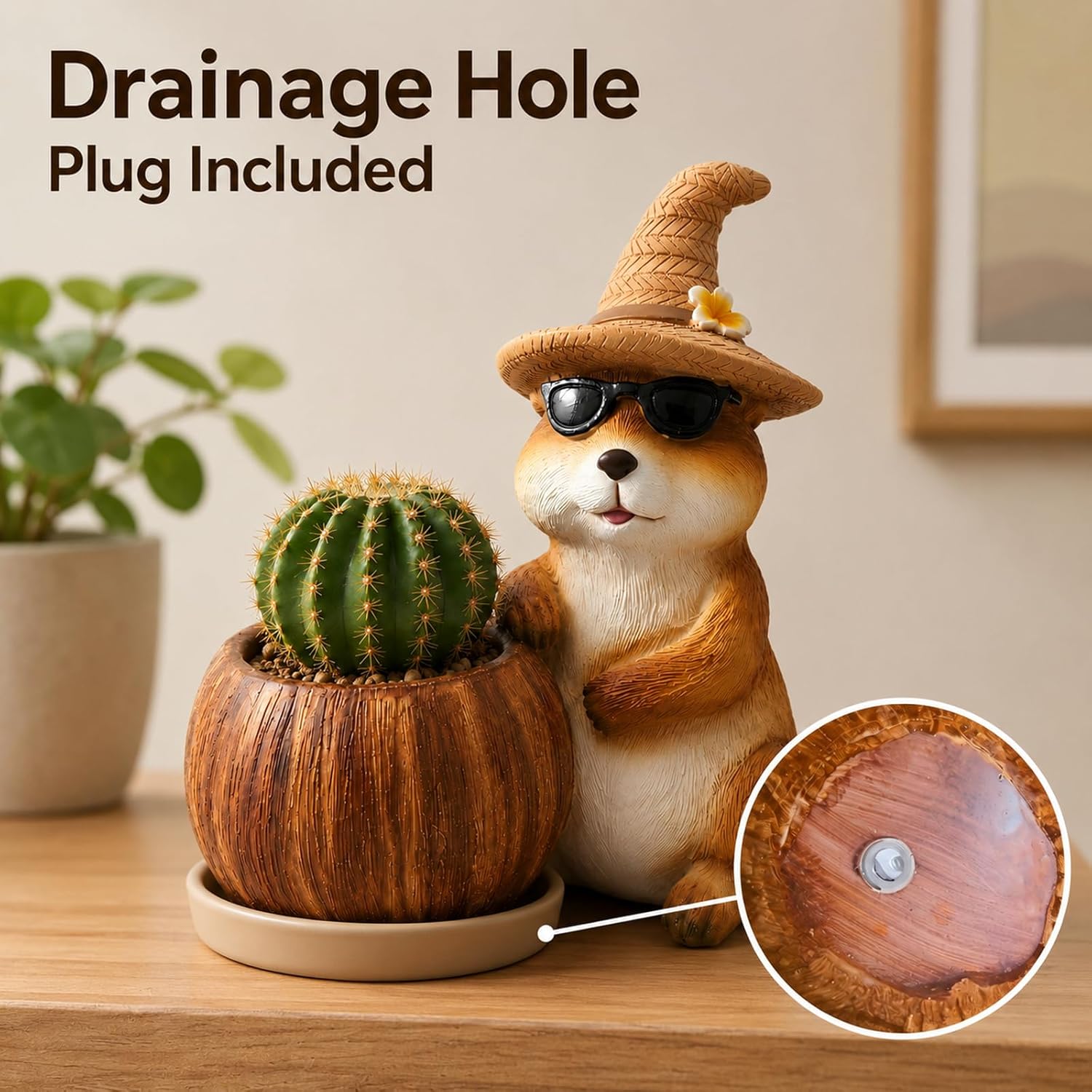 https://m.media-amazon.com/images/I/71ltr4eTofL._AC_SL1500_.jpg