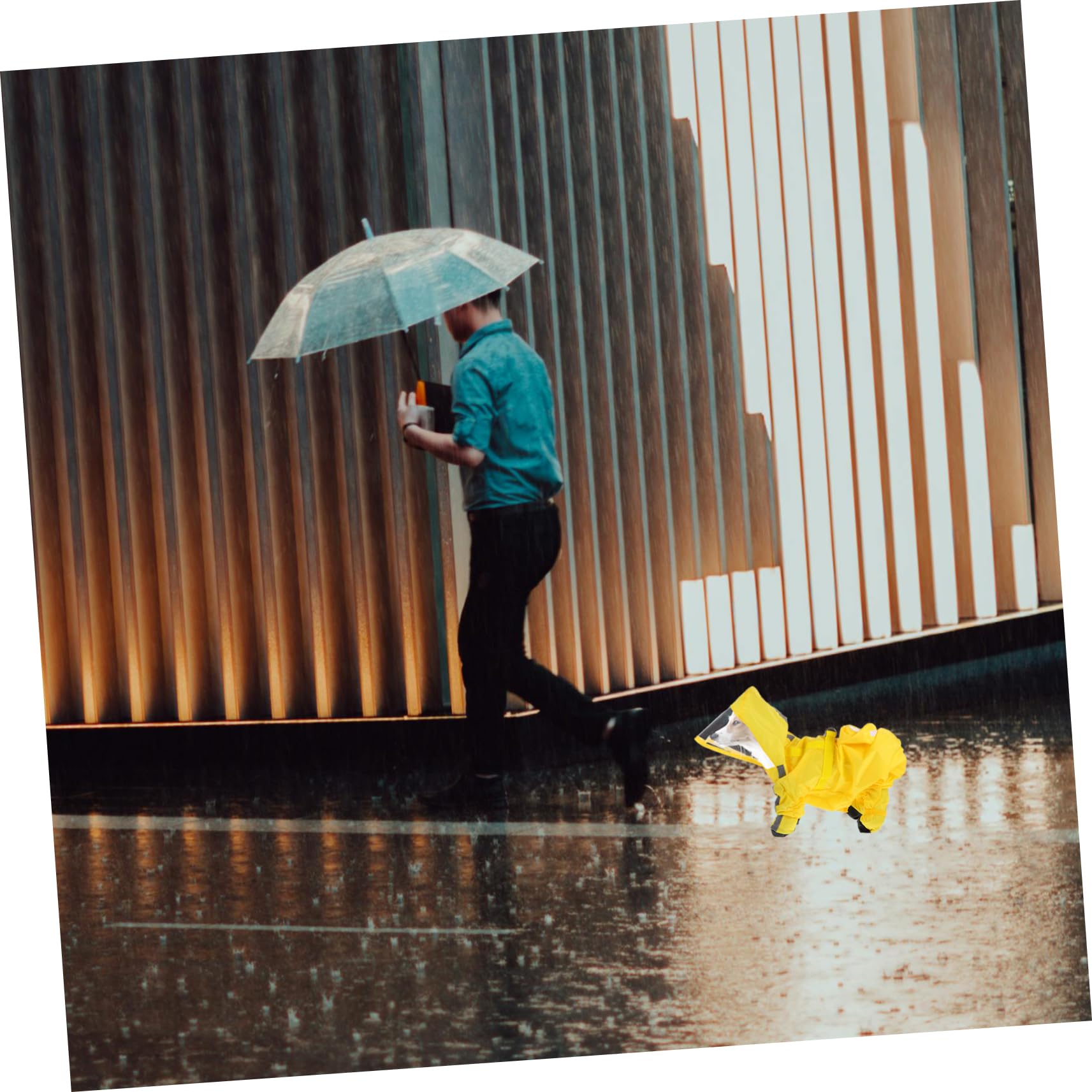 Levemolo Reflective Dog Raincoat Waterproof Small Dog Poncho Rain Boots for Pups Comfortable Pet Jacket