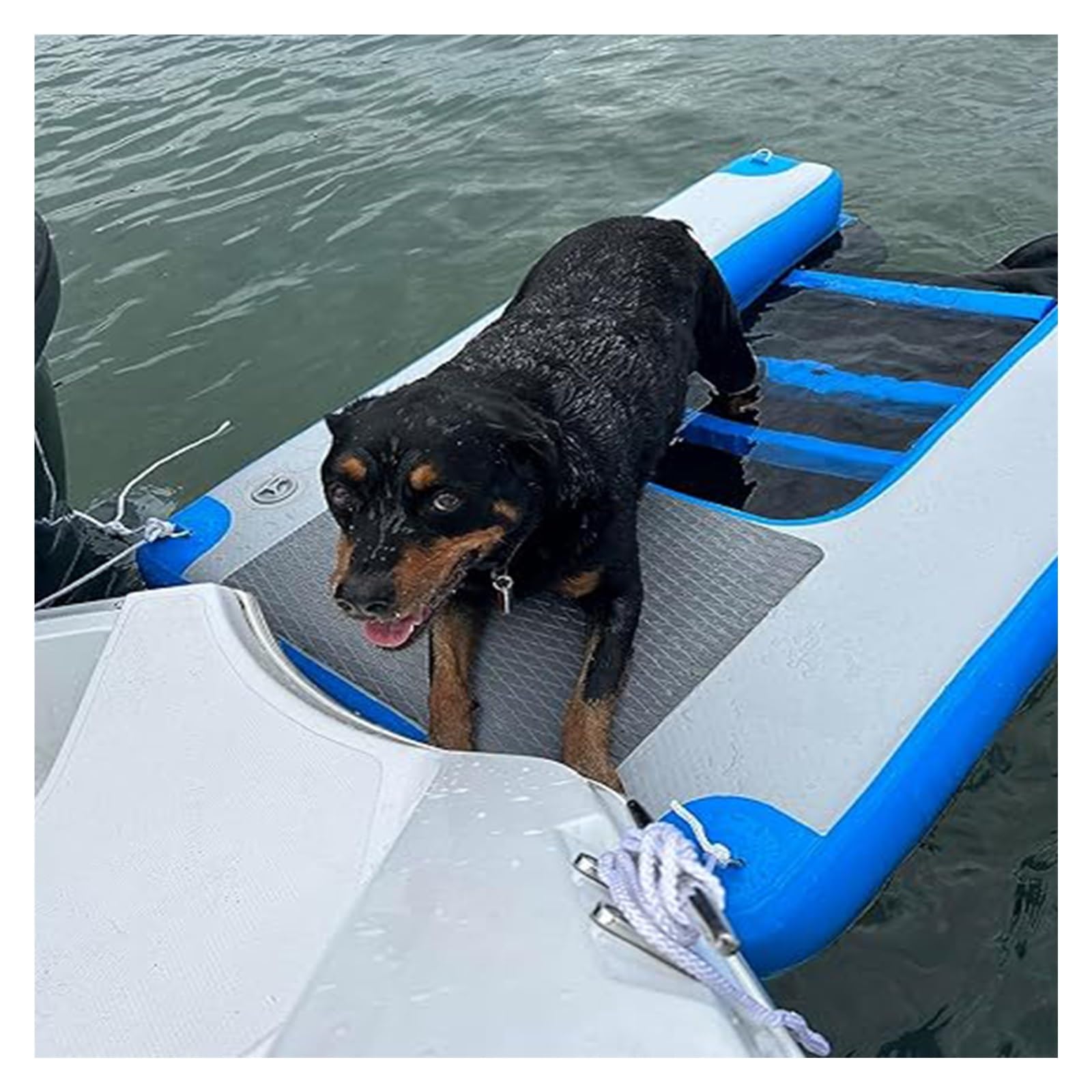 rampa de agua para perros Rampa inflable para pontón de perros, reutilizable Balsa para perros Rampa flotante para agua Para piscinas Barcos Playas Perros de hasta 60 kg Plegable EVA antideslizante Pl