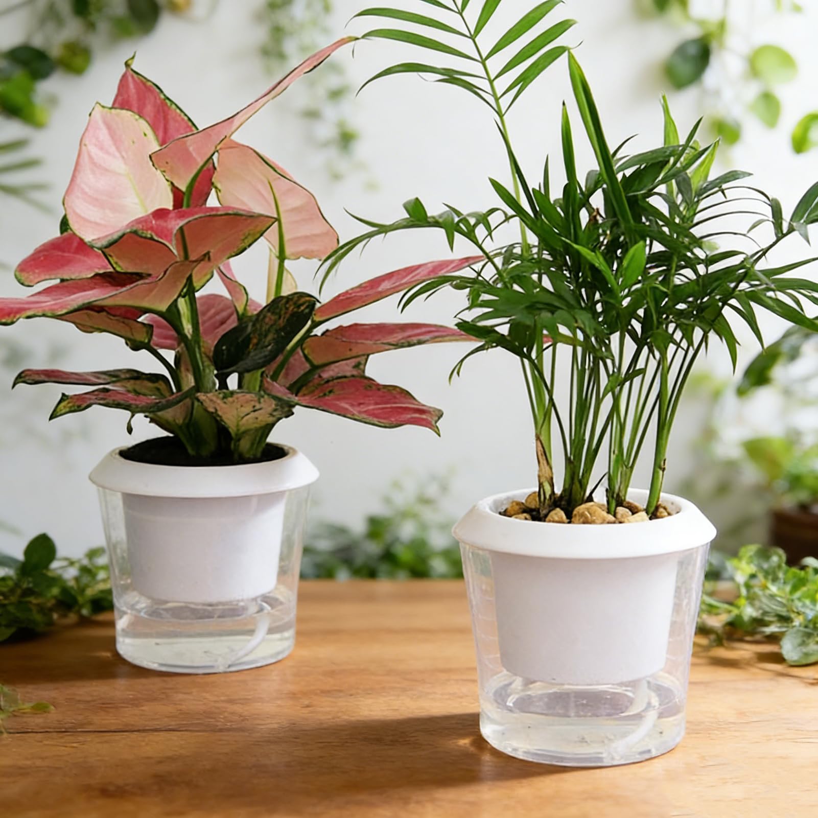 Pots de fleurs à arrosage automatique transparents avec système de corde d'irrigation autonome