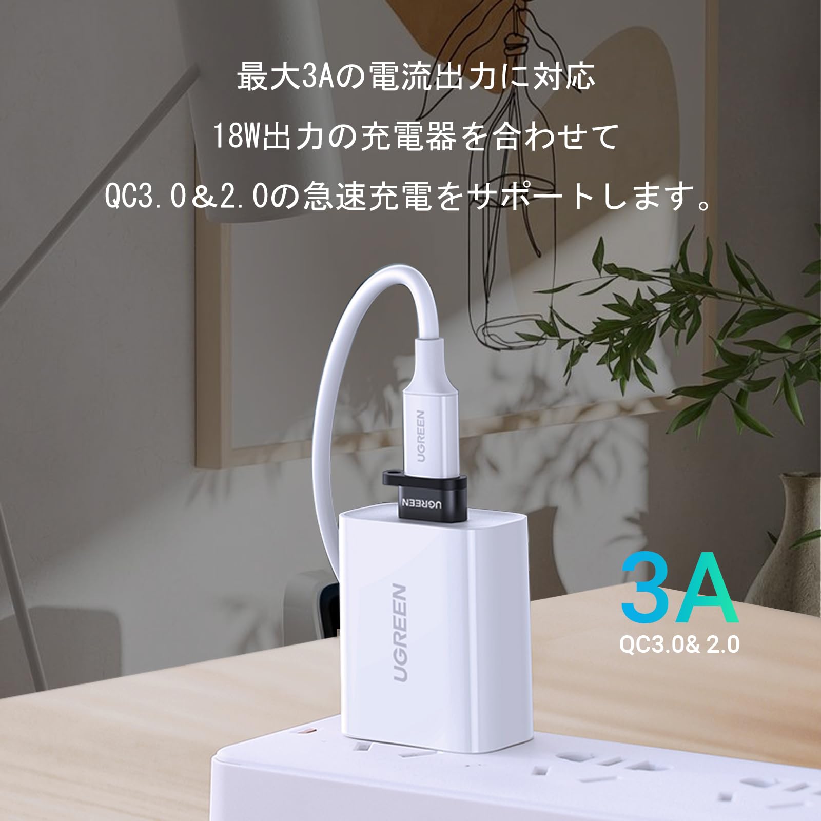 USB Type-C 変換アダプタ 2個セット 小型 ストラップ付 楽天市場】USB Type C to Lightning 変換アダプタ 各種2個セット