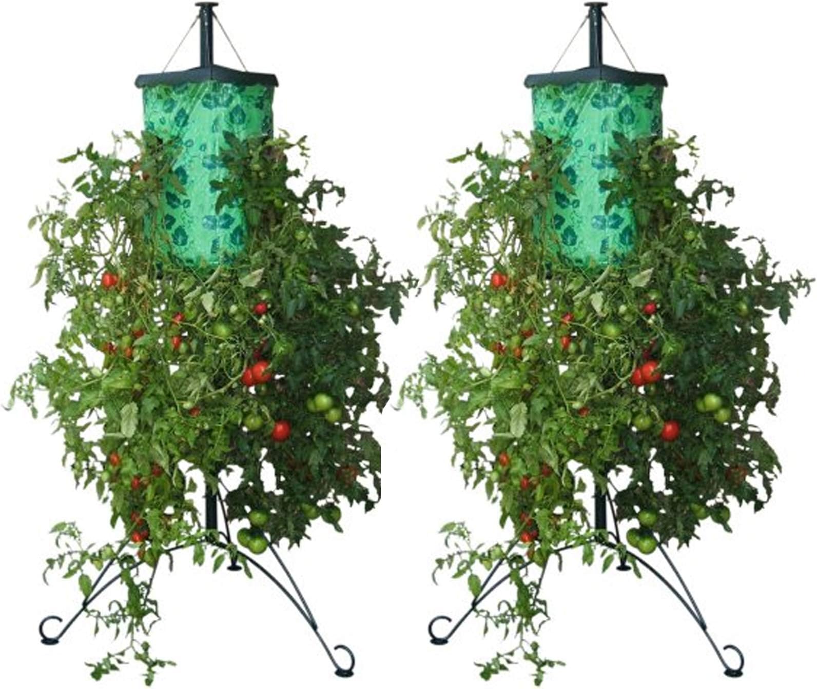 Upside down Tomato Planter (2 pack)
