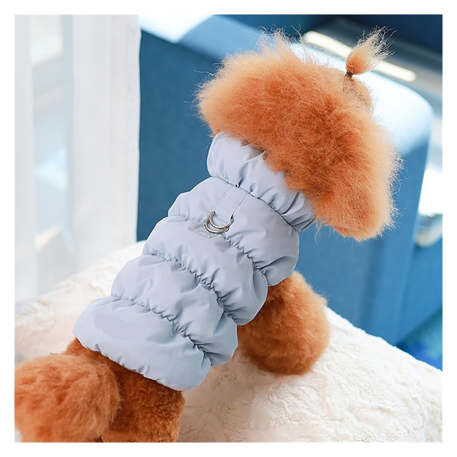 Manteau d'hiver doux pour chiens gilet rembourré bleu de prestige