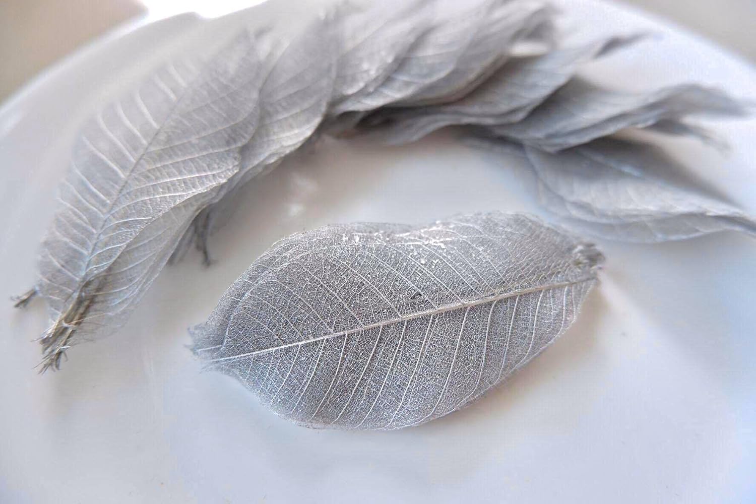 100 Pcs Skeleton Leaves Silver Leaves Natural Rubber Tree Leaves for Crafts Scrapbooking DIY Card Wedding Small Leaves (Silver)