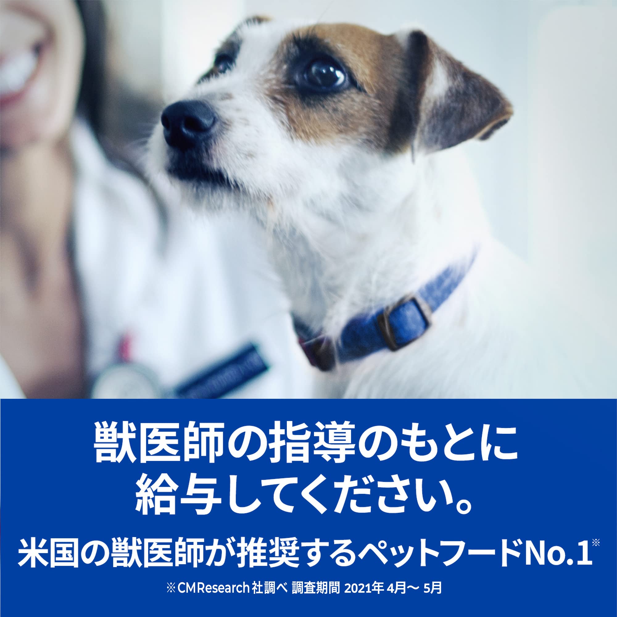 Amazon.co.jp: 【療法食】 プリスクリプション・ダイエット