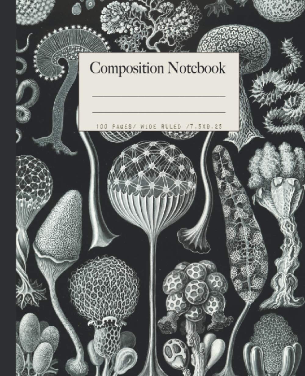 Mushrooms Composition Notebook: Beautiful college ruled Ernst Haeckel mushroom illustrations. Perfect gift for nature lovers.