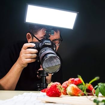 30 LEDビデオライト 防水ライト 使用可能カメラ多数 深海撮影対応 上質素材 30 LEDビデオライト 防水ライト 使用可能カメラ多数 深海撮影