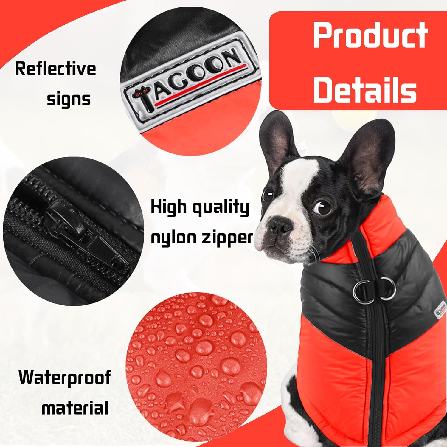 Psí kabát počas nosenia