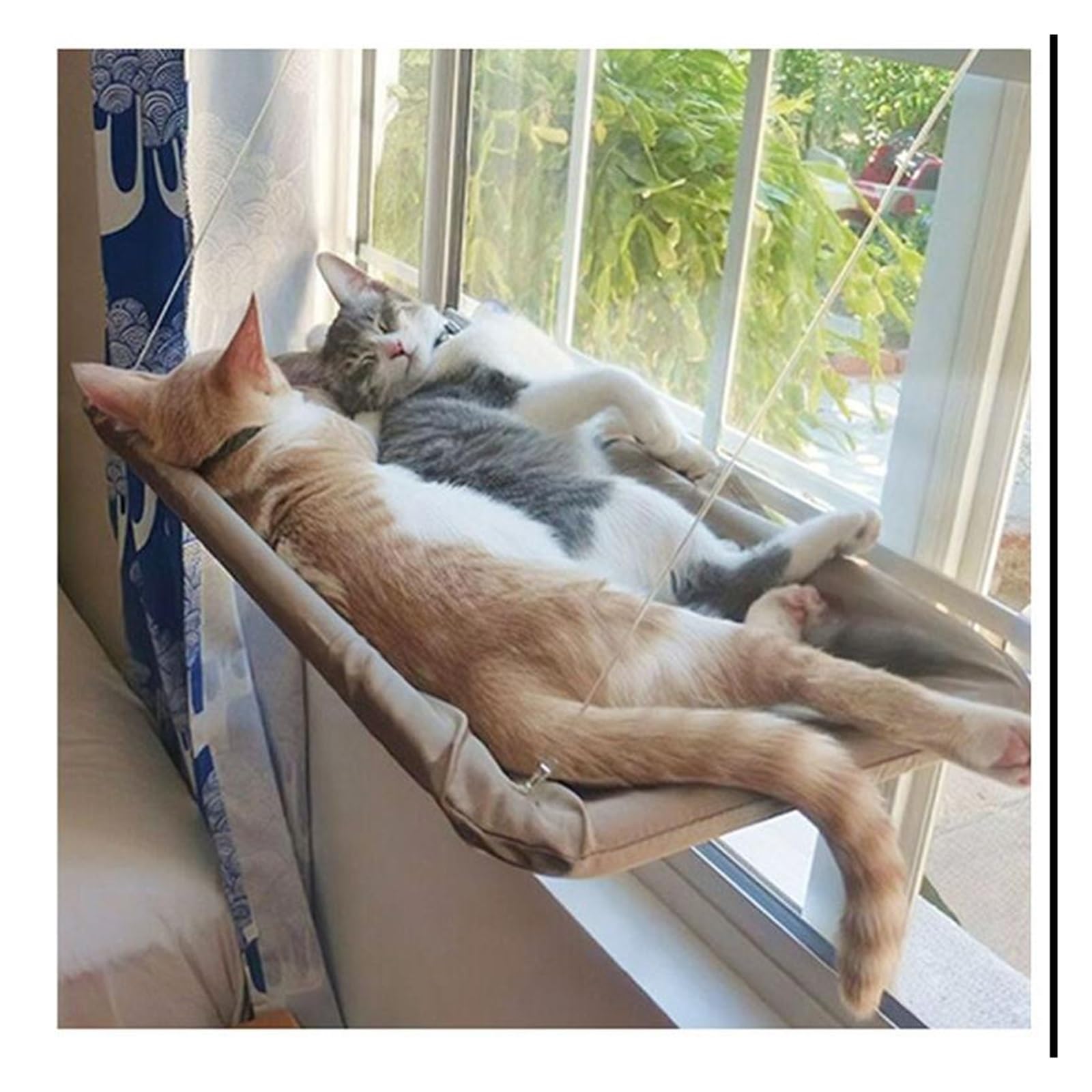Haustier Katze Hängematte Hängen Bett Lager 20Kg Bequeme Sunny Fenster Sitz Halterung Kätzchen Klettergerüst Zubehör Stabil Komfortabel(Orange)