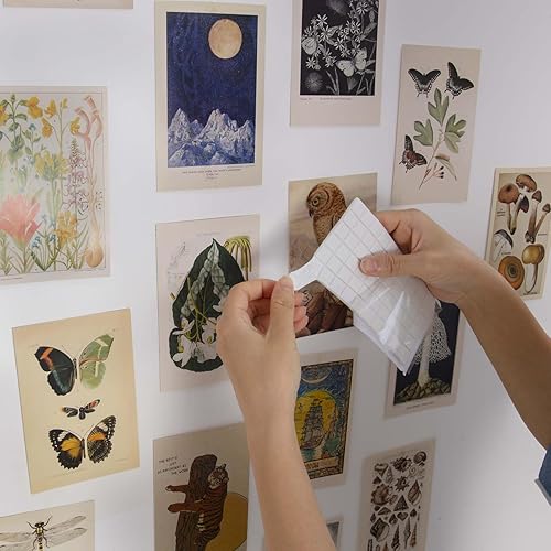 Miniatura 4 de LA MAISON COZY Póster adhesivo adhesivo de montaje reutilizable masilla no destructiva a la pared para colgar imágenes y pósteres