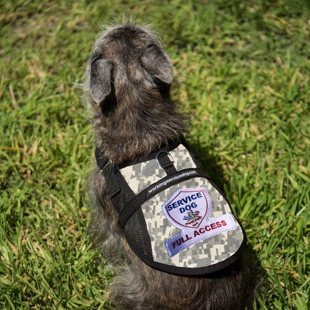 Premium Service Dog Mesh Vest - (14-17" Girth, Camouflage) - Includes Five Service Dog Law Handout Cards