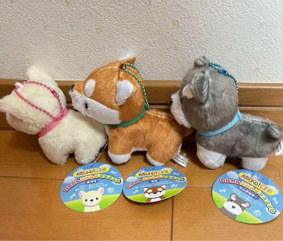 Amazon.co.jp: わんわんふれんず マスコット 3種類 セット ラウンド