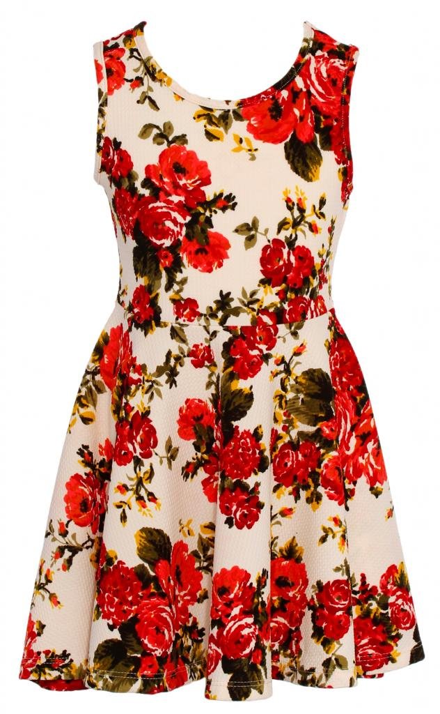 Wonder Girl Watercolor Big Girls' Jacquard Floral Print Skater Dress