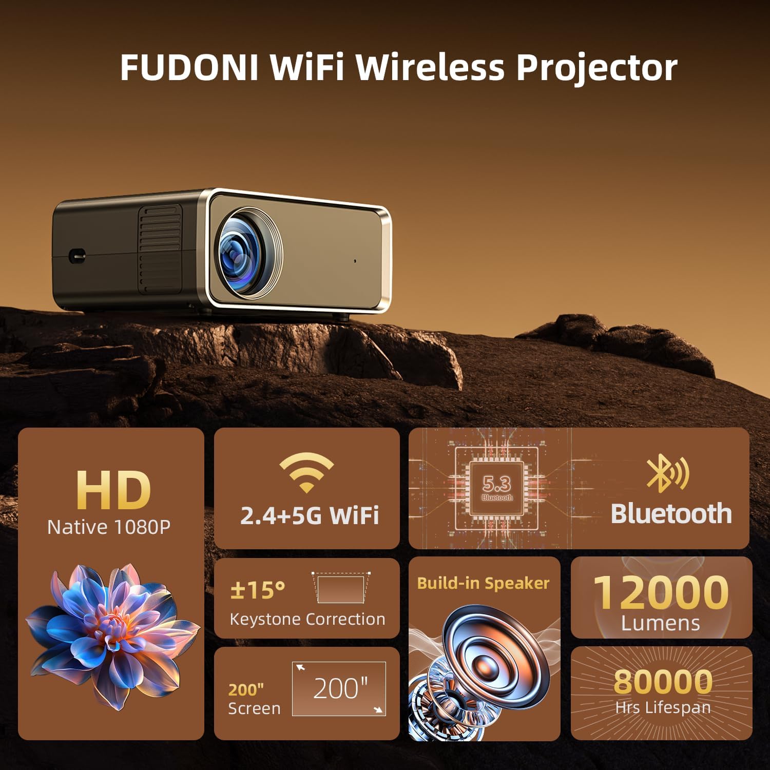 posterior view of FUDONI Projector showing various input ports