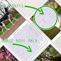 Vista 1240 de Razas de Perros 2017