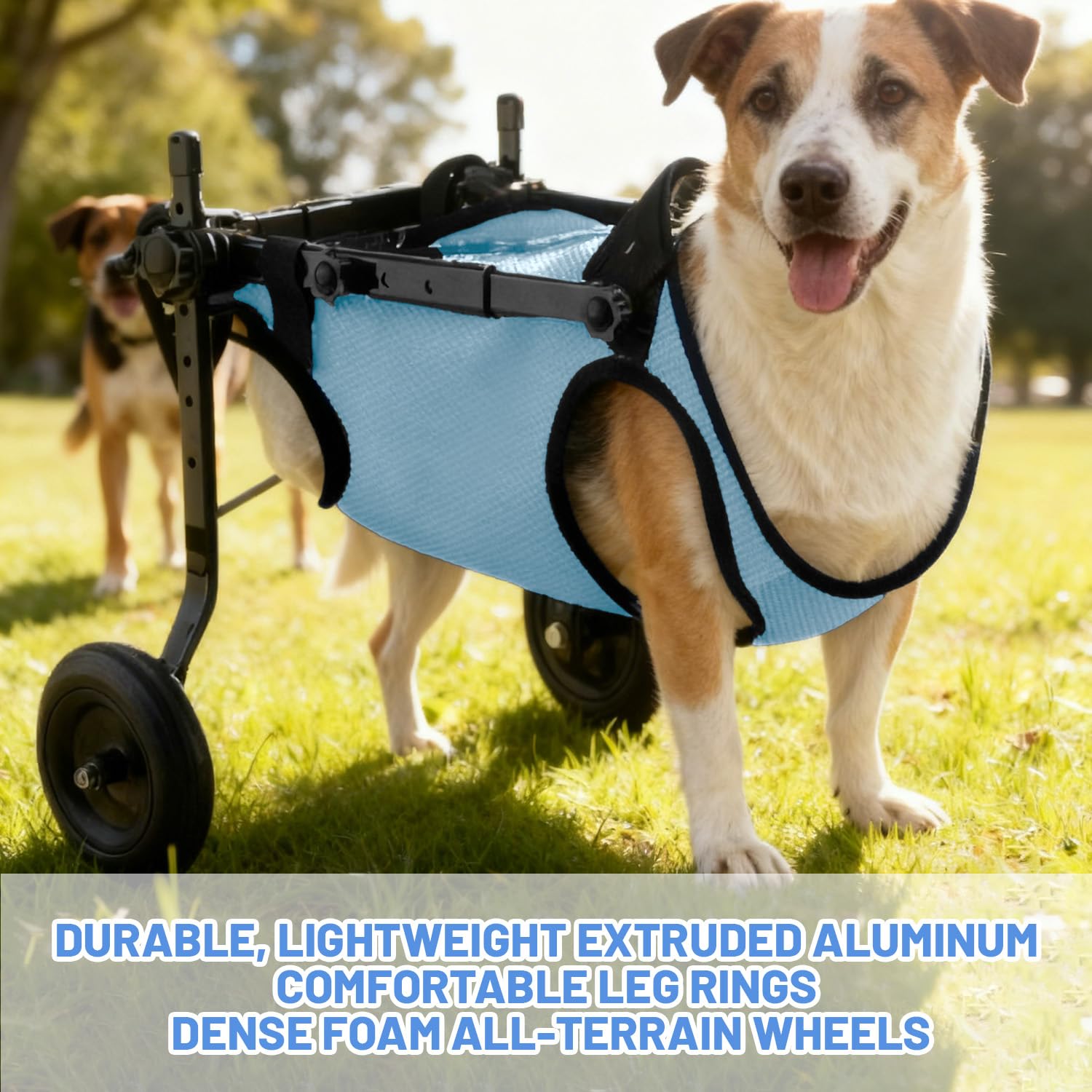 Silla de ruedas para perros pequeña con patas traseras, silla de ruedas para patas traseras, silla de ruedas para perros/gato/mascota, ayuda a la curación, carrito de perros/silla de ruedas para