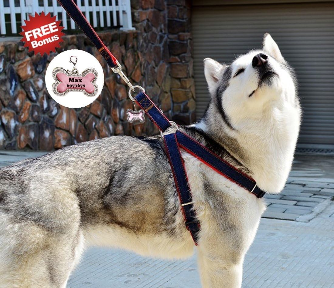 OLIVERY No-Pull Dog Leash Harness Set, Free ID Tag, Adjustable Heavy Duty Denim Pet Supply for Large/Medium/Small/Extra-Small Pet Dogs Training & Everyday Walking, Size L, Red
