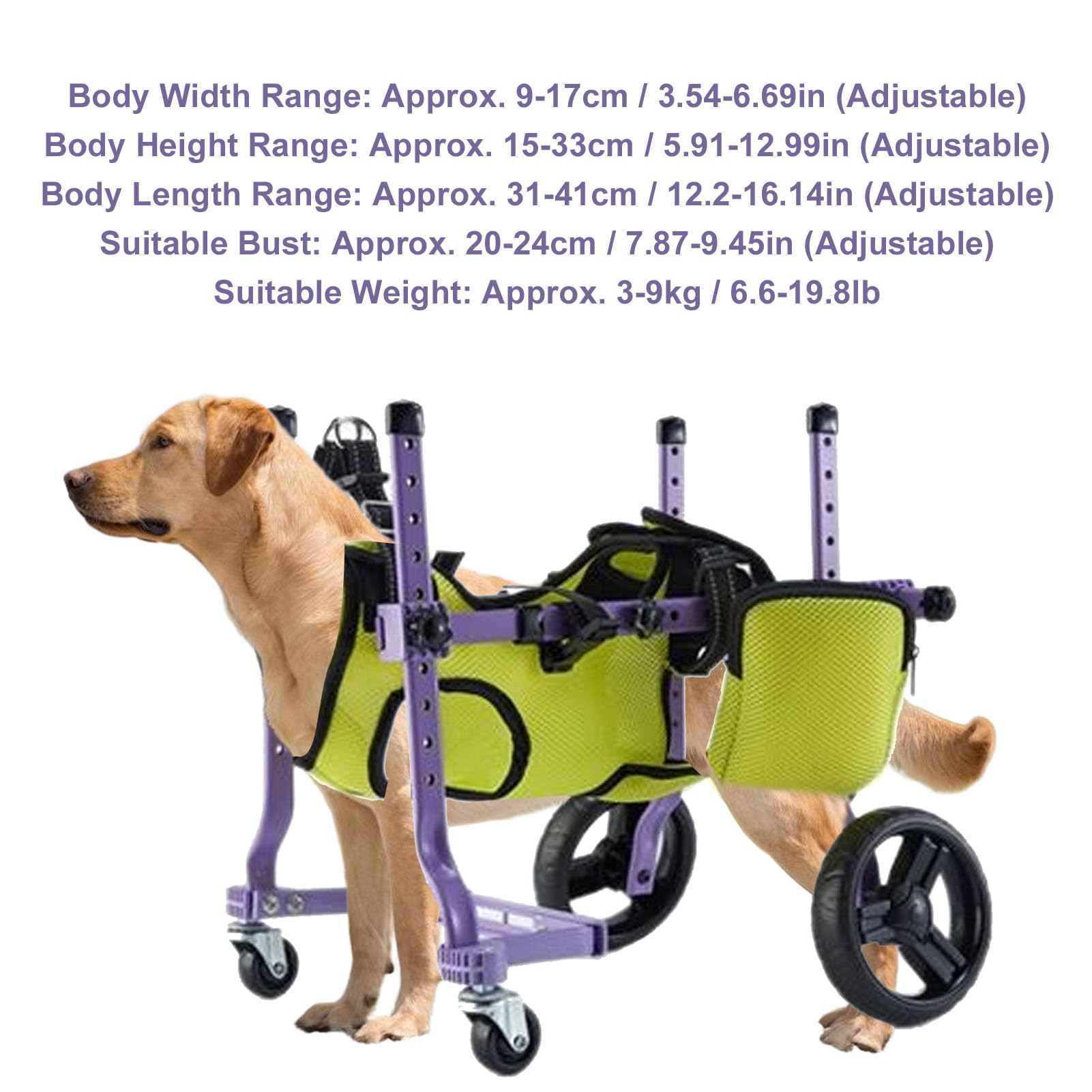 Denash Carrello di Supporto per la Gamba Posteriore del Cane, Telaio Regolabile a 4 Ruote con Imbracatura in Rete Traspirante per Ausili Alla mobilità di Animali Domestici Disabili,
