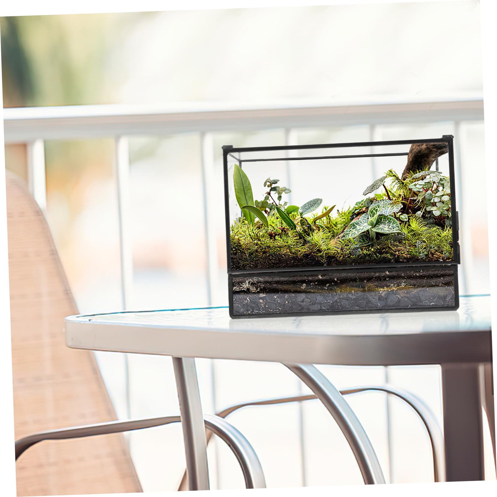 Terrario Pequeño Geométrico de Vidrio para Plantas | Recipiente Decorativo de Estaño, Cuerpo Transparente, Fácil de Limpiar, Adecuado para Musgo y Bricolaje