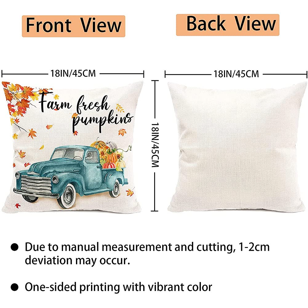 Cuscini Autunnali RABUSOFA: Federa 45x45 Con Zucca, Perfetta Per Decorazioni Di Halloween E Natale, Regalo Originale