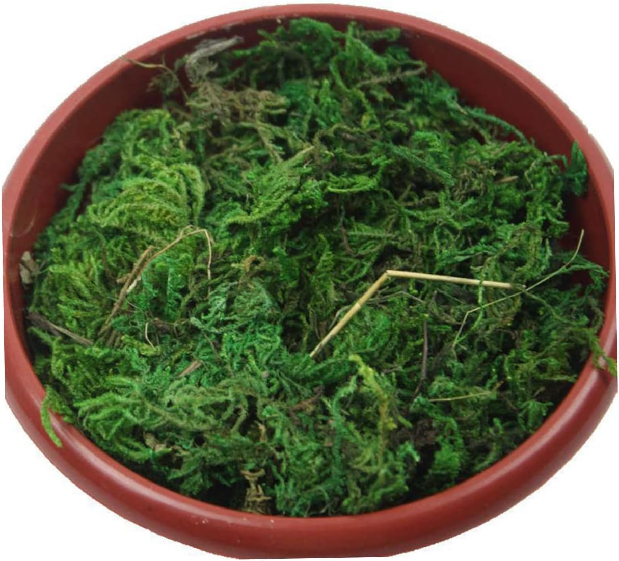 Imitated Moss Decorative Plant for Potted Arrangements Green PVC