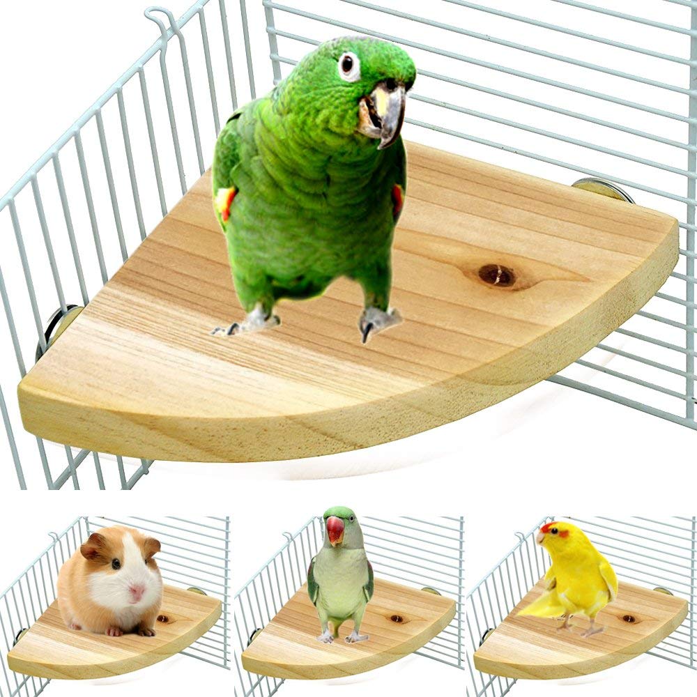 Borangs Wood Perch Bird Platform Parrot Stand Playground Cage Accessories for Small Anminals Rat Hamster Gerbil Rat Mouse Lovebird Finches Conure Budgie Exercise Toy 7 inch