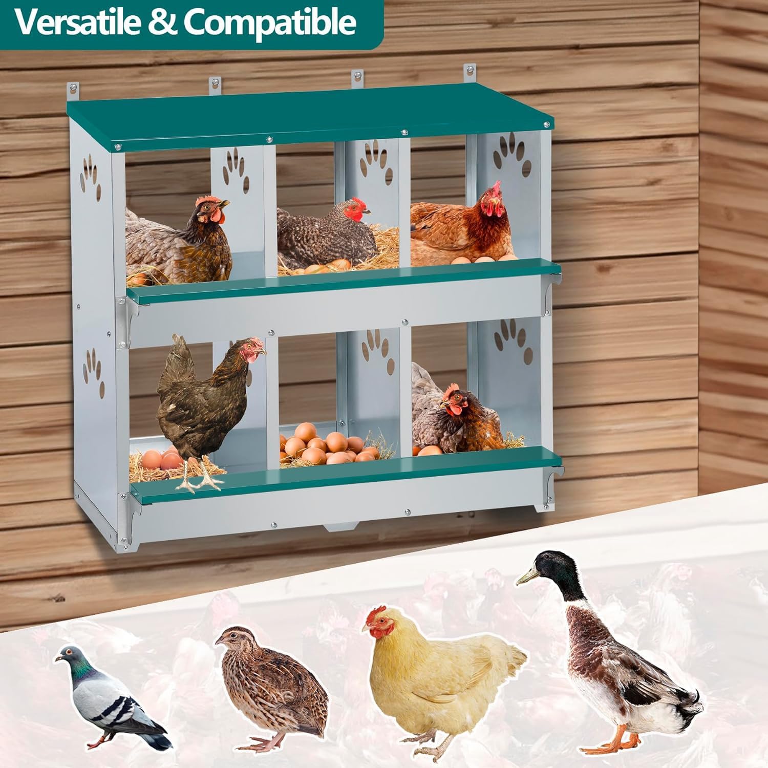 Chicken Nesting Box, 6 Compartment Metal Nesting Box, 6 Room Wall Mountable Nesting Boxes for Chicken, Green