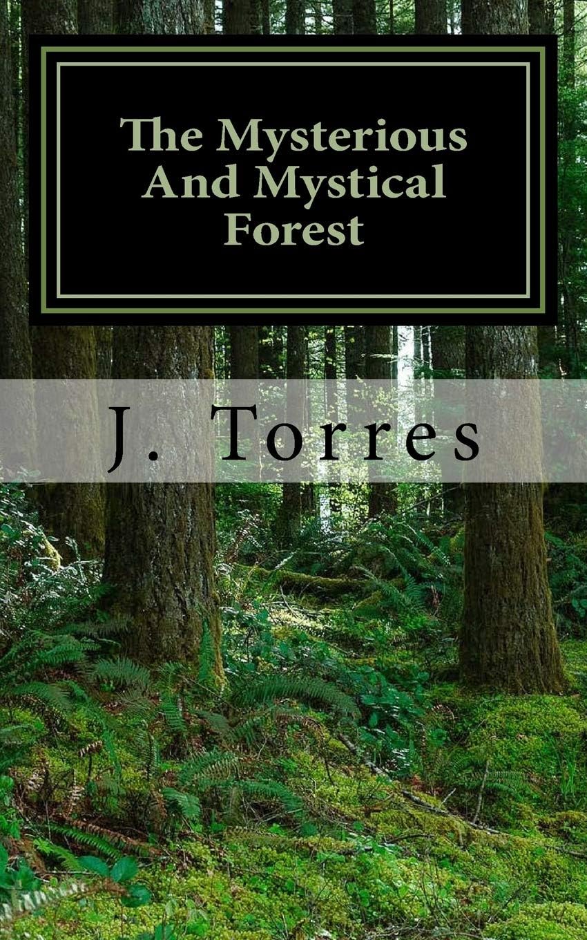 The Mysterious And Mystical Forest