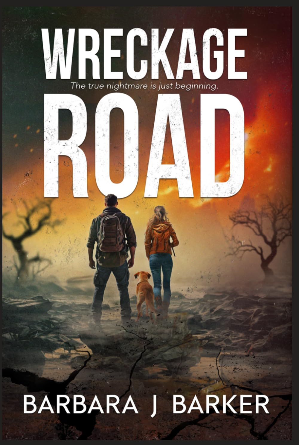 WRECKAGE ROAD: AN APOCALYPTIC THRILLER! (THE WRECKAGE SERIES)