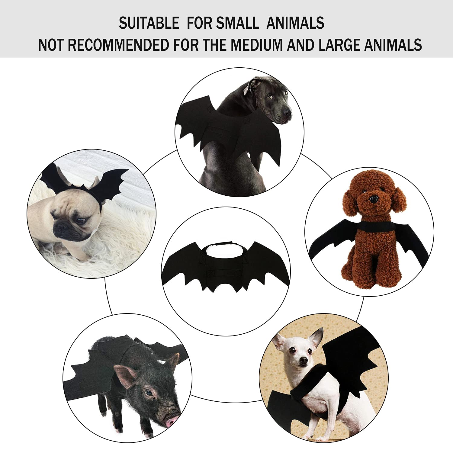 Malier Disfraz de Halloween para perro, gato, disfraz de Halloween, alas de murciélago, disfraz de cosplay para gatos y perros pequeños, medianos y grandes (pequeño