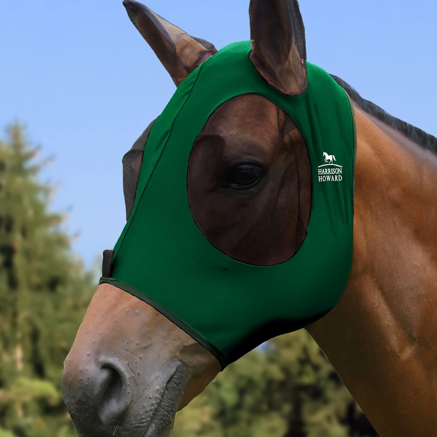 Harrison Howard Horse Fly Mask-Deep Green (L; Full Size) : Pet Supplies