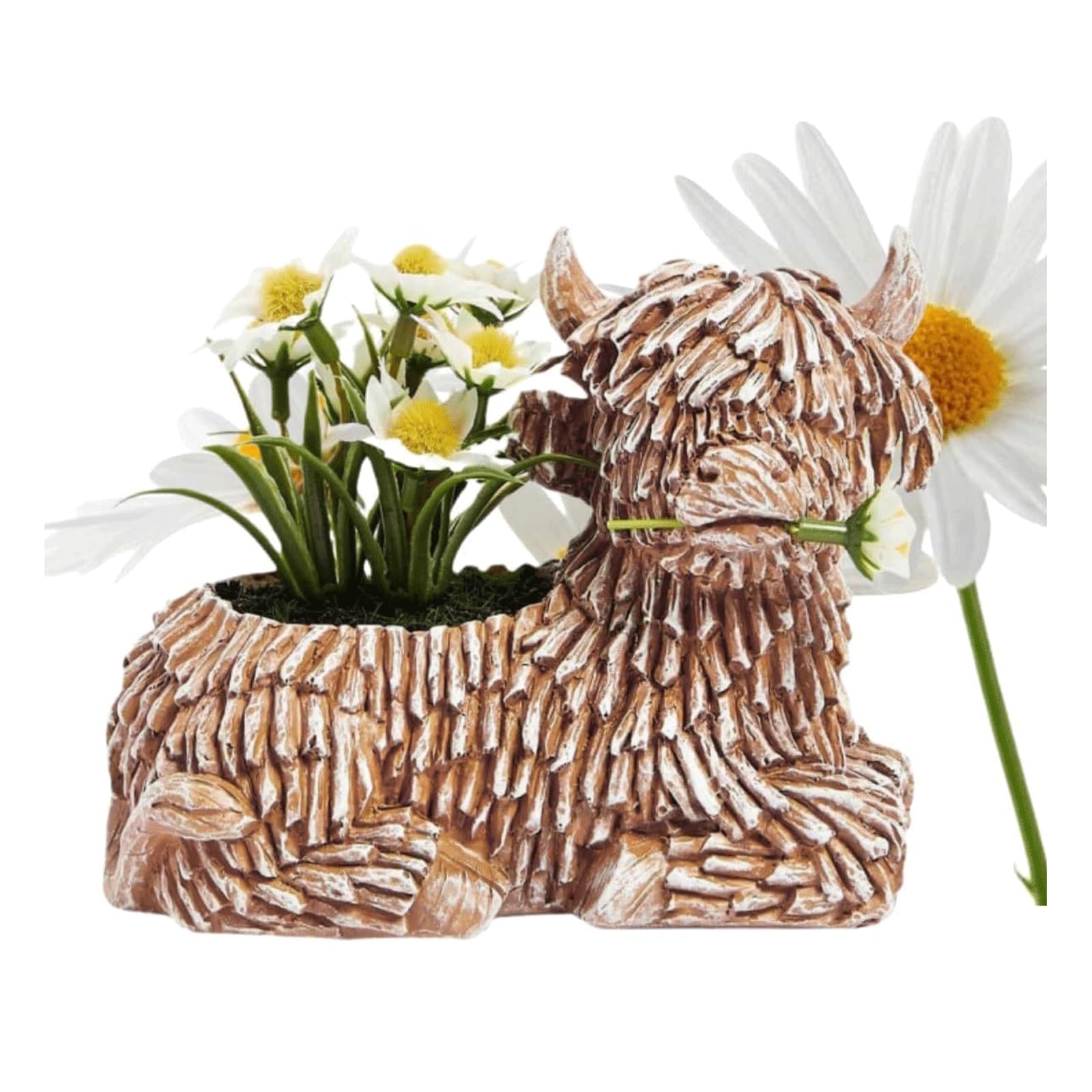 Pot de fleur vache des Highlands pour embellir votre terrasse fleurie